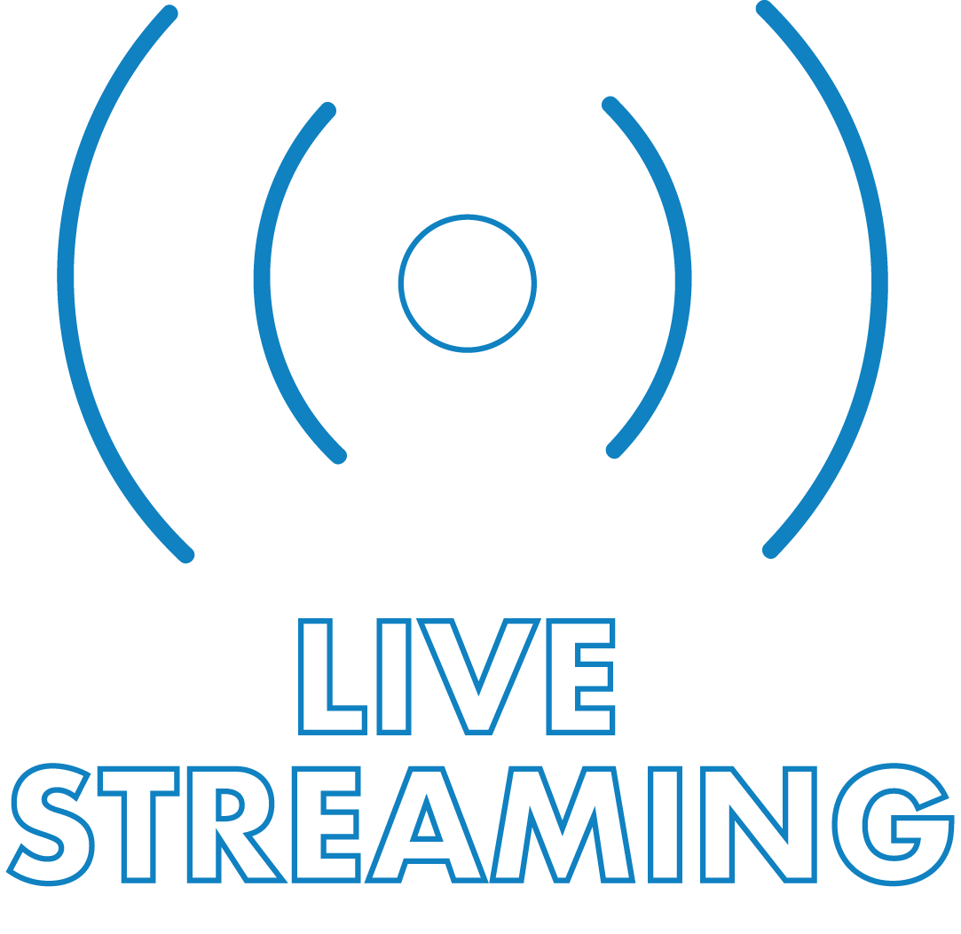 servizi per pubblicazione di contenuti online in live streaming.